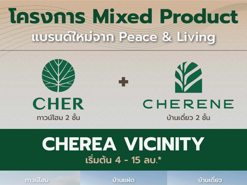 Related Article Thumbnail | Peace & Living